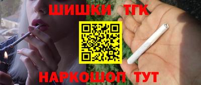 дмт Гатчина