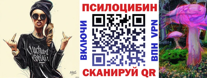 ссылка на мегу ССЫЛКА  как найти закладки  Губаха  Псилоцибиновые грибы Psilocybe 