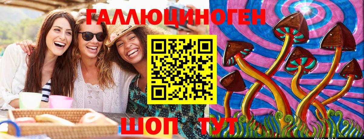 Псилоцибиновые грибы Psilocybine cubensis Губаха