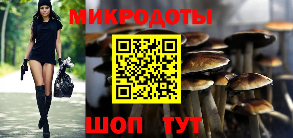 Губаха  Псилоцибиновые грибы мухоморы  сколько стоит  Вход с VPN  Галлюциногенные грибы Cubensis 