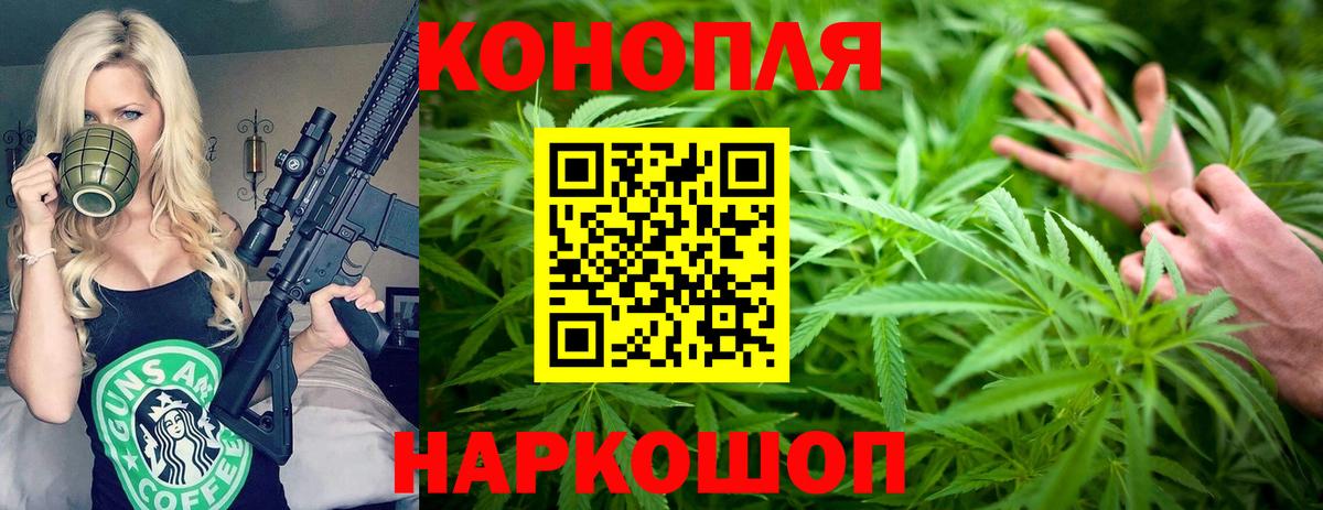 Бошки Шишки семена Губаха